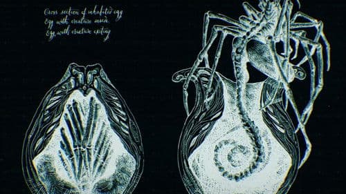 Alien: Covenant - Epilogue: Advent Bild 5