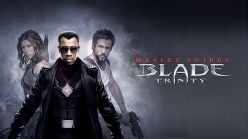 Blade: Trinity Bild 1