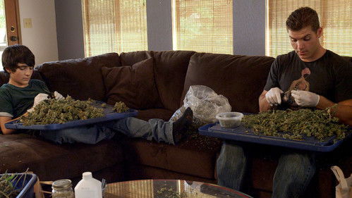 Green Is Gold Bild 1