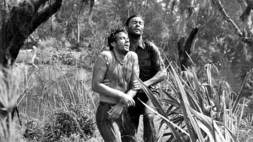 Schrei des Gejagten Bild 4