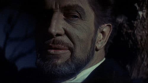 Die Folterkammer des Hexenjägers Bild 2