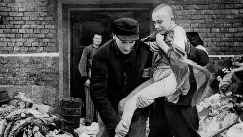 Auschwitz, les unités de la mort Bild 1