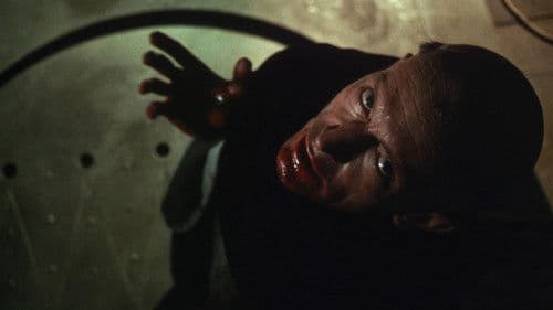 Meister des Grauens Bild 3