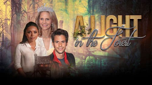 A Light in the Forest Bild 5