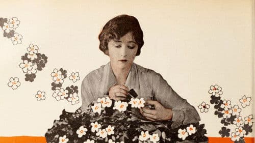 Borrowed Clothes Bild 1