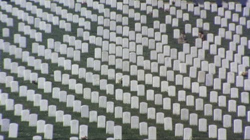 Harold und Maude Bild 5