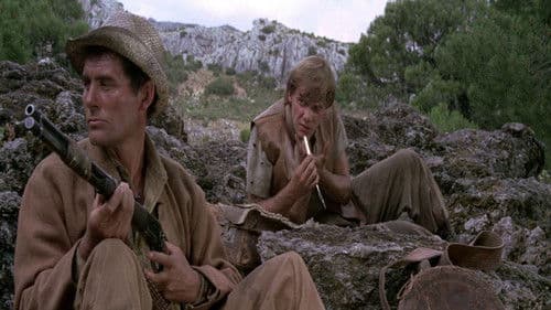 Im Visier des Falken Bild 4