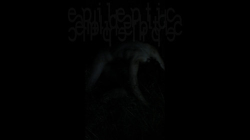 White Epilepsy Bild 3