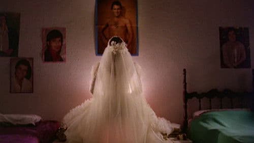 A Mulher Que Inventou o Amor Bild 1