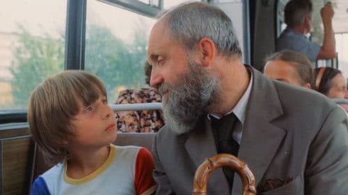 Dzień kolibra Bild 1