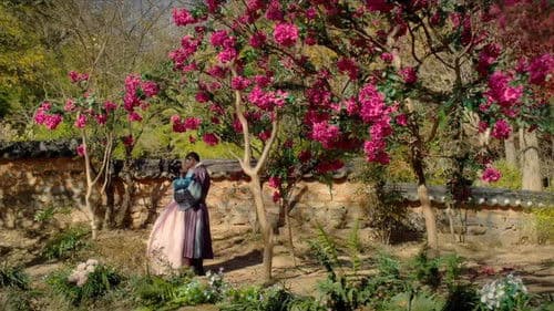 The Red Sleeve Bild 7