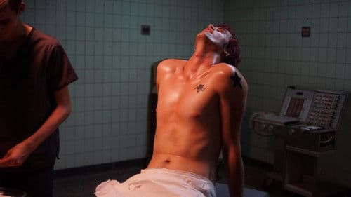 We Are Animals Bild 2