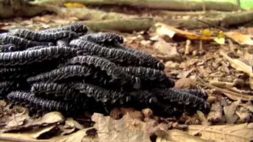 biletipobilequandovocêvomitadebarrigavazia Bild 1