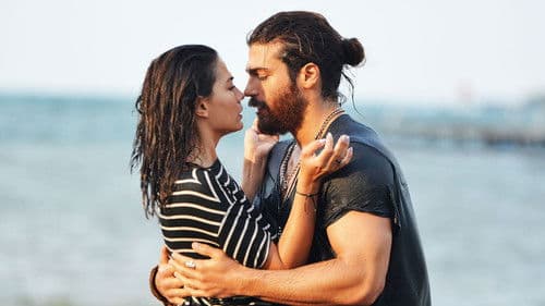 Früher Vogel Bild 4