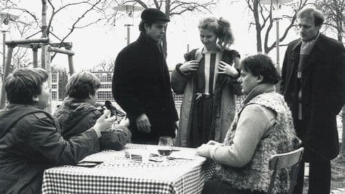 Schafe in Wales Bild 1