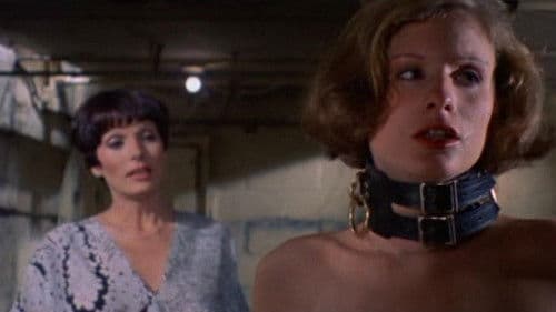 Maraschino Cherry Bild 2