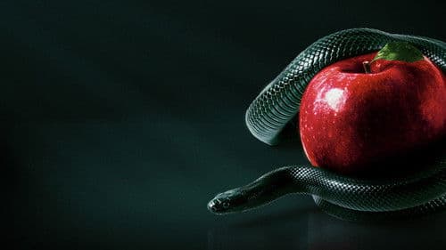 Bible Secrets Revealed Bild 4