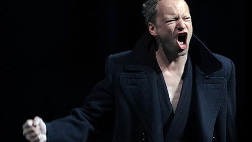 Cour d'honneur de Jérôme Bel - Avignon 2013 Bild 1