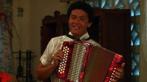 La boda del acordeonista Bild 1