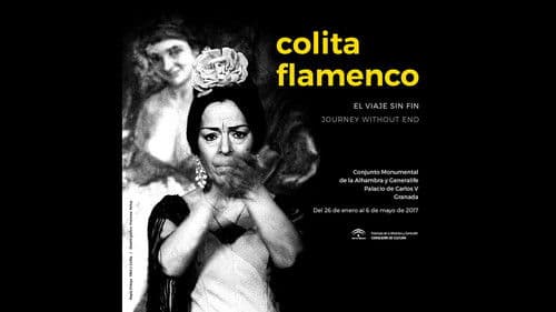 Colita: El viaje sin fin Bild 1
