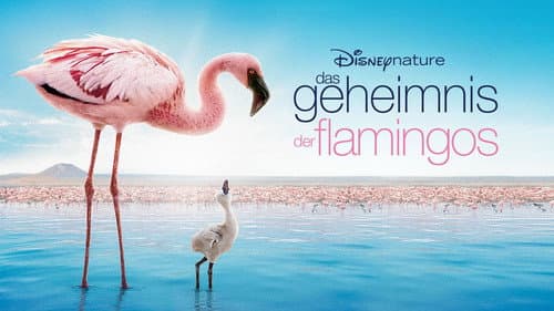 Auf purpurnen Schwingen: Das Geheimnis der Flamingos Bild 1