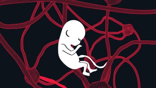 你的孩子不是你的孩子 Bild 6