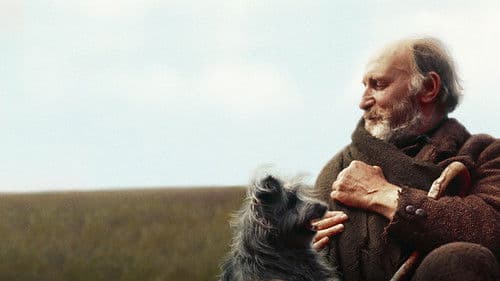 Greyfriars Bobby Bild 3