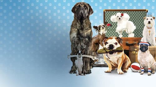 Das Hundehotel Bild 4