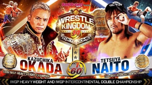 NJPW Wrestle Kingdom 14: Night 2 Bild 2
