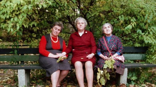 Land des Schweigens und der Dunkelheit Bild 5