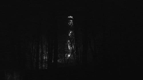 Black Soil, Green Grass Bild 3