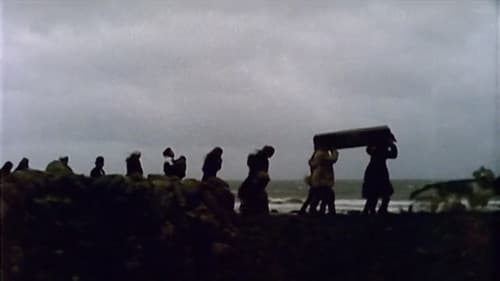 Caoineadh Airt Uí Laoire Bild 3