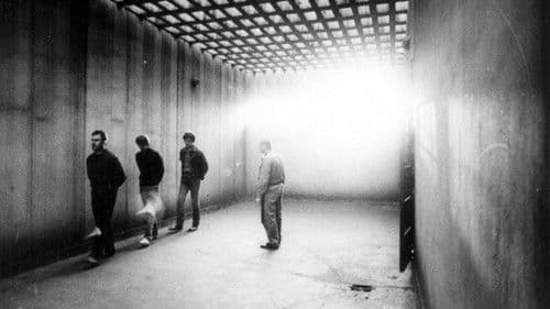 Kicsi, de nagyon erős Bild 1