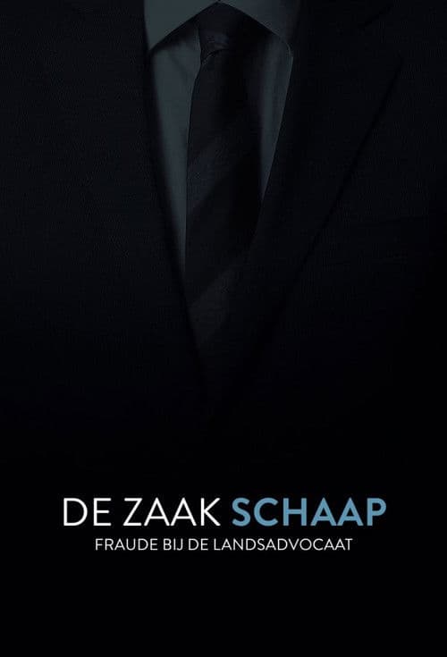 De Zaak Schaap: fraude bij de landsadvocaat