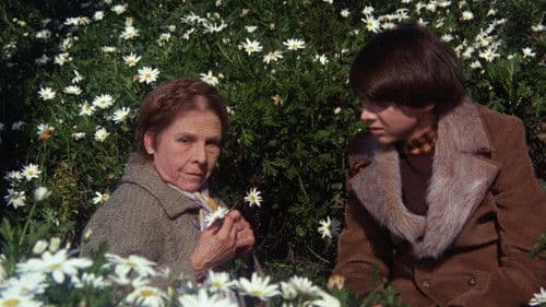 Harold und Maude Bild 6