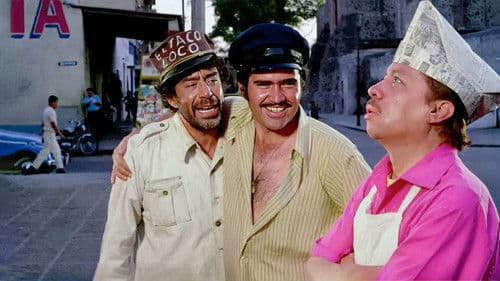 Tacos al Carbon Bild 1