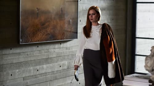 Nocturnal Animals Bild 4