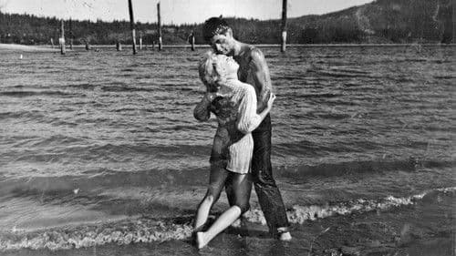 Honeymoon of Terror Bild 1