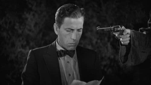 Geheimbund Schwarze Legion Bild 4