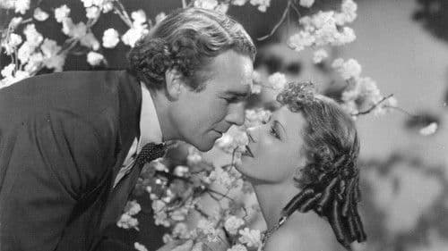 High, Wide and Handsome Bild 3