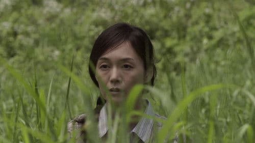 Journey to the Shore Bild 3