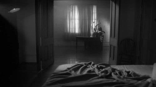 Shadow / Self Bild 1