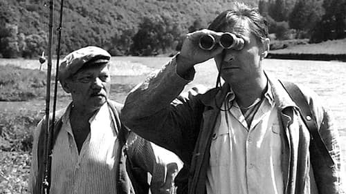 Smrt krásných srnců Bild 1