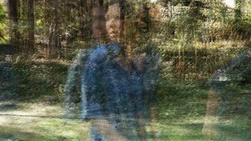 Lembrar de Mim Bild 2