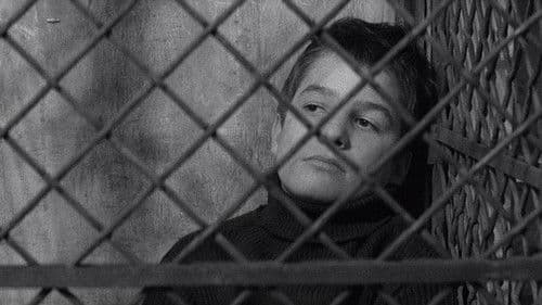 Sie küssten und sie schlugen ihn Bild 6