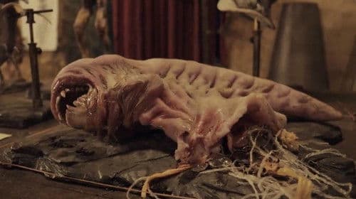 Alien: Covenant - Epilogue: Advent Bild 7