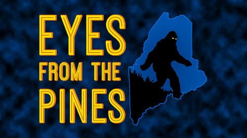 Eyes from the Pines Bild 1