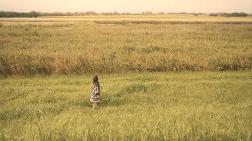 ミュジックのこどもたち Bild 1