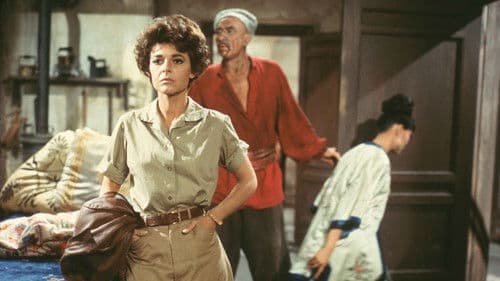 Sieben Frauen Bild 1