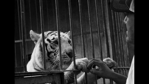 Crónica de una muerte animal Bild 2